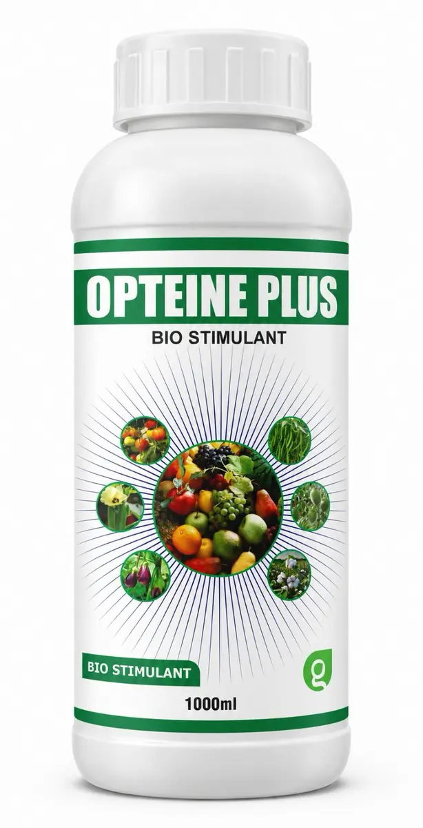 Opteine Plus pack