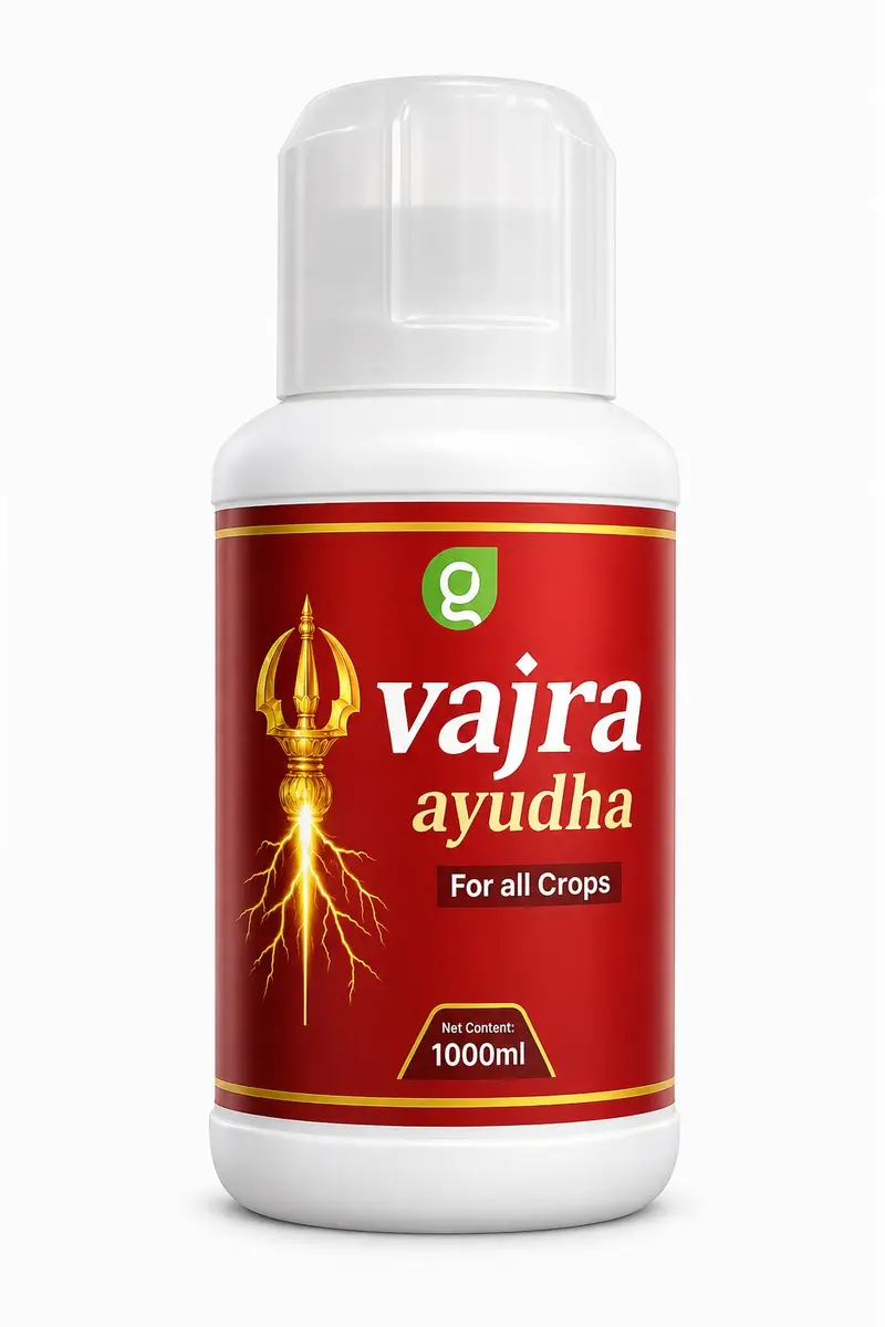Vajra Ayudha pack